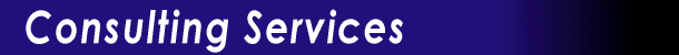 Consulting Services